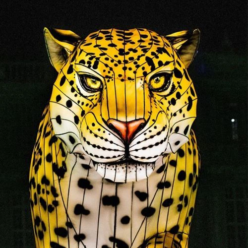 Statui de animale mari din fibră de sticlă